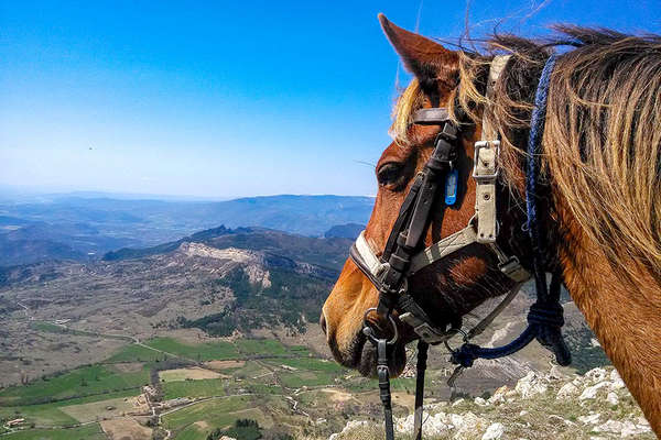 A cheval dans les Alpes du sud