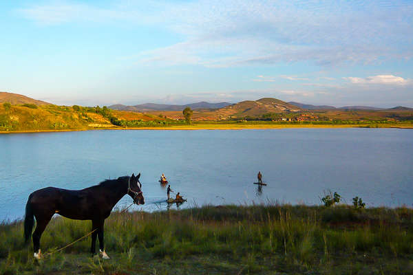 Cheval devant le lac Itasy, Madagascar