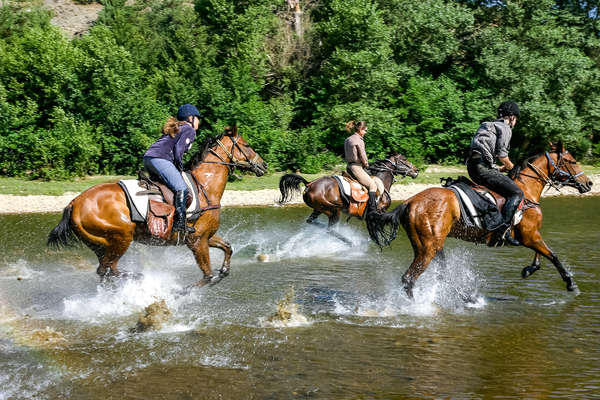 Cheval en Bulgarie