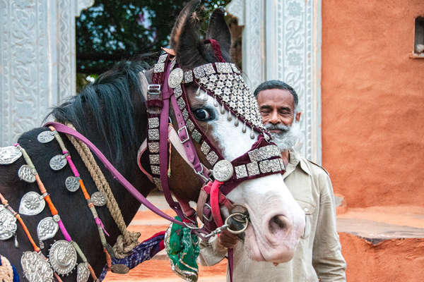 Cheval en Inde