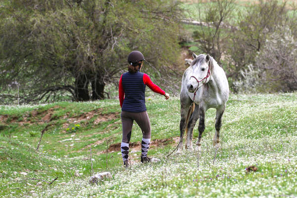Cheval et cavalière en Albanie