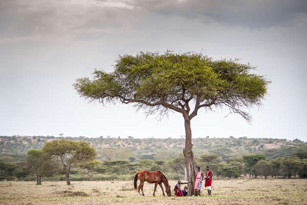 Cheval et masaï au Kenya