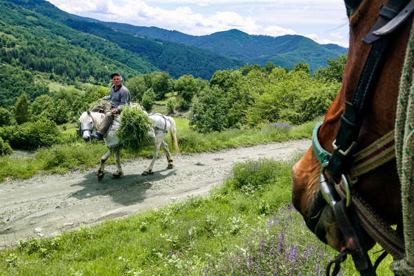cheval et tradition Bulgare