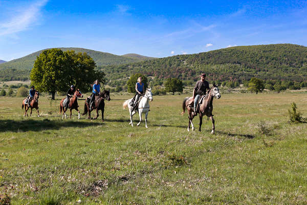 cheval et tradition en Bulgarie