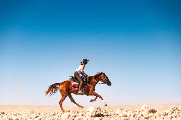 Chevauchée galopante du Namib