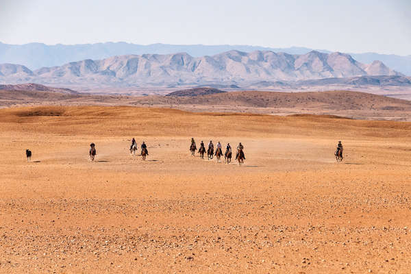 Chevauchée galopante du Namib