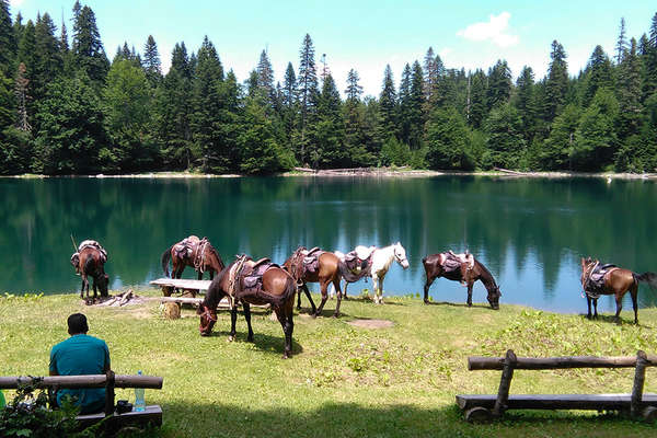 Monténégro à cheval