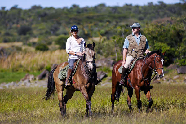 Chevaux au Kenya