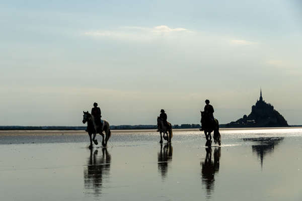 Chevaux au Mont Saint Michel