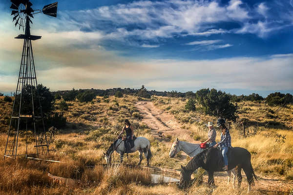 Chevaux au Nouveau Mexique