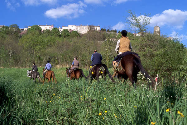  Midi Pyrénées et chevaux