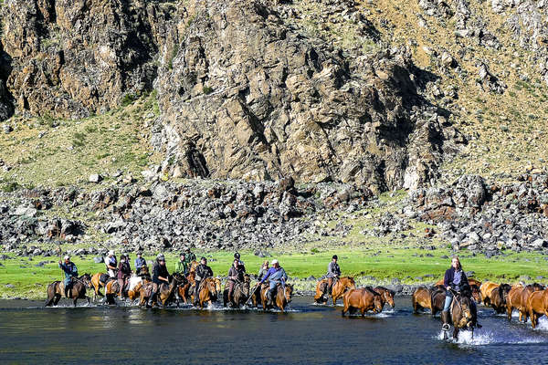 Chevaux dans la rivière en Mongolie