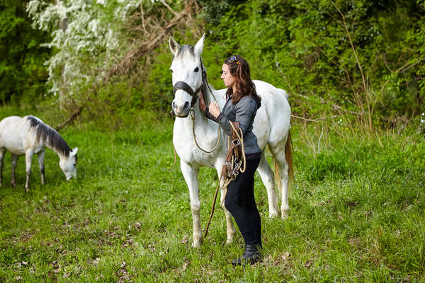 Chevaux dans le Lot