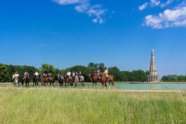 chevaux de randonnée devant la Pagode de Chanteloup