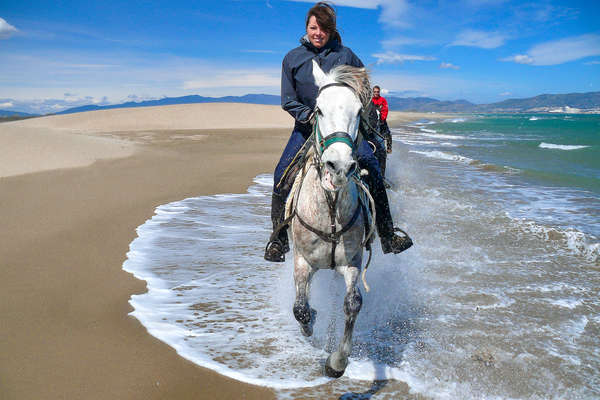 Chevaux en bord de mer près de Cadaquès