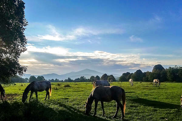 Slovénie et rando à cheval