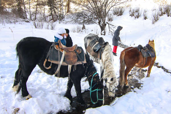 Chevaux et cavaliers dans l'Altaï en hiver