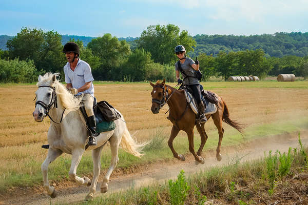 Chevaux sportifs en Catalogne