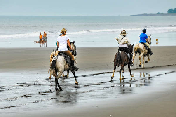 Chevaux sur la plage au Costa Rica