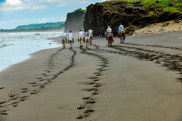 Chevaux sur la plage au Costa Rica