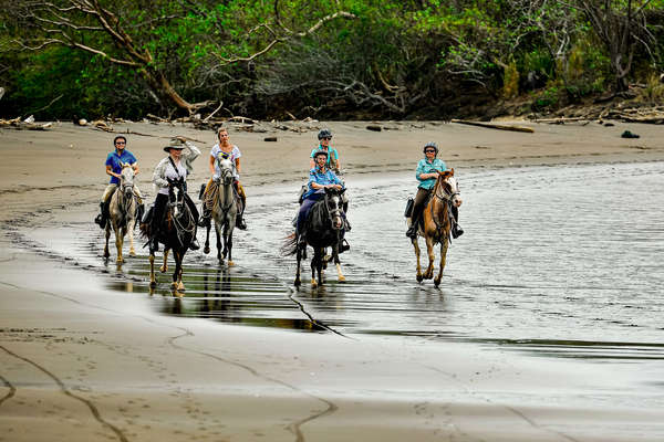 Chevaux sur la plage au Costa Rica