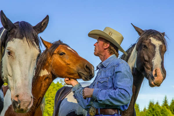 Chuchoteur et les chevaux