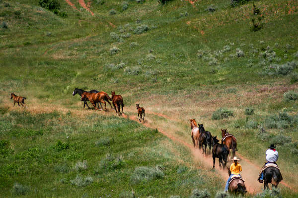 Convoyage à cheval dans le Montana