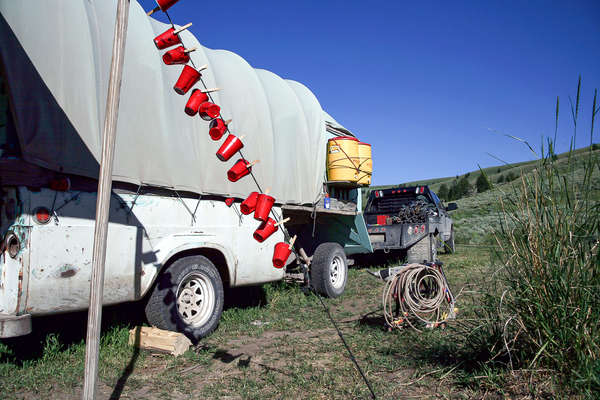 Convoyage de chevaux aux Etats-Unis