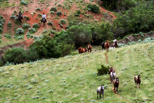 Convoyage de chevaux dans le Montana