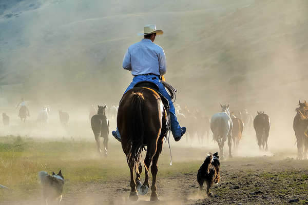 Convoyage pour les cowboys