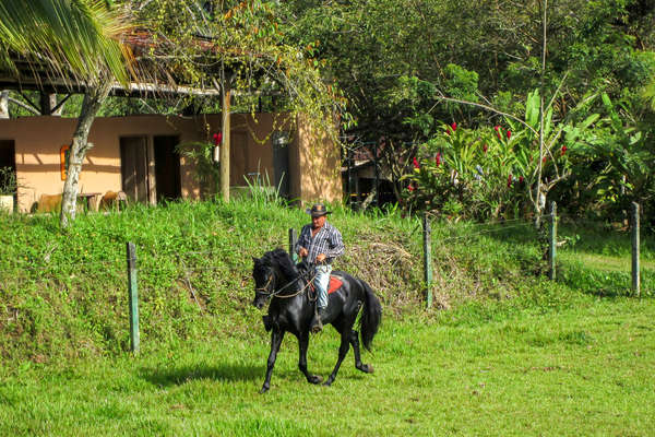 Costa Rica et guide équestre