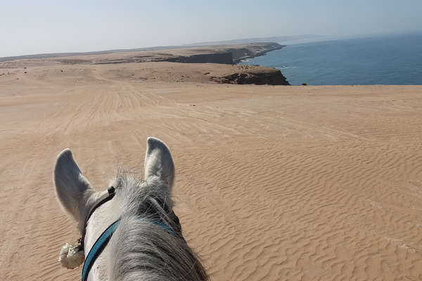 Côte sud du Maroc à cheval