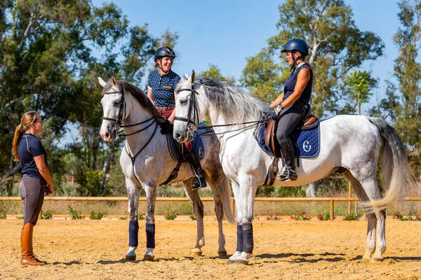 Cours de dressage en Andalousie