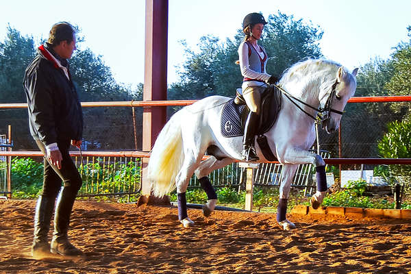 Cours de dressage en Espagne