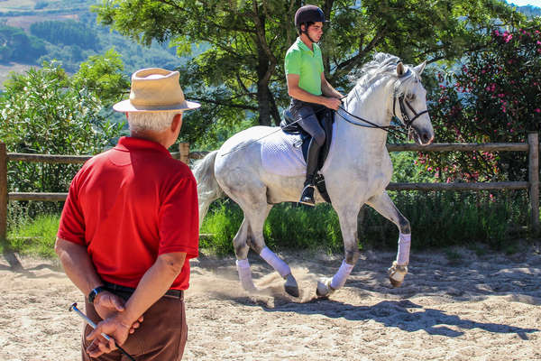 Cours de dressage par Georges Malléroni