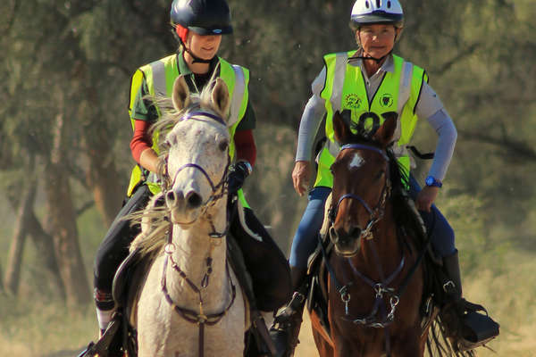 Course d'endurance en Namibie