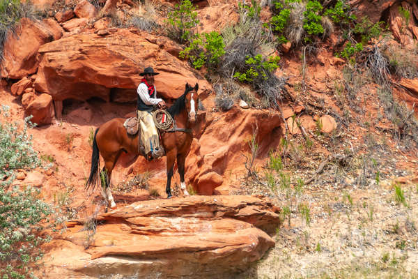 Cowboy à cheval