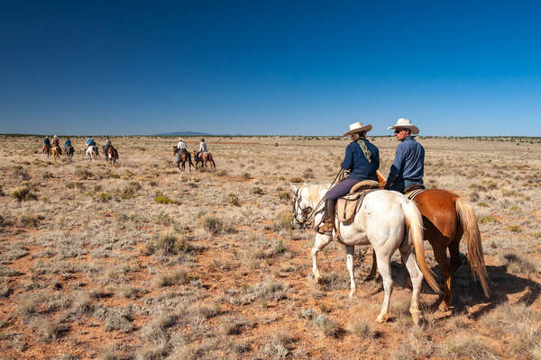 Cowboys aux Etats-Unis