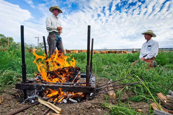 Cowboys dans le Colorado