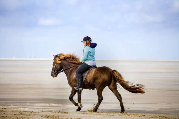 Danemark à cheval