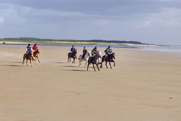 Danemark à cheval