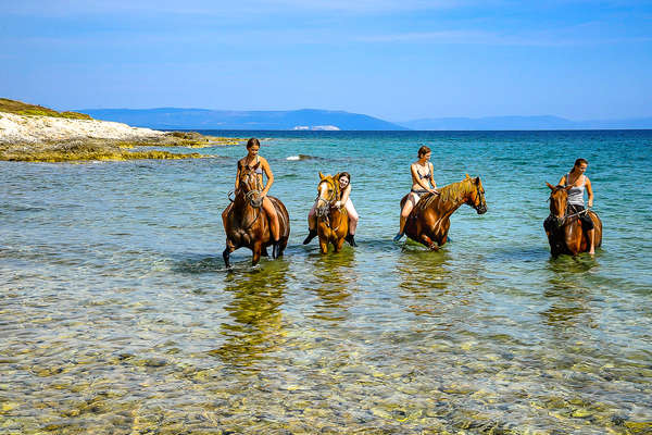 Dans l'eau de Croatie à cheval