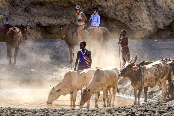 Découverte à cheval en Tanzanie