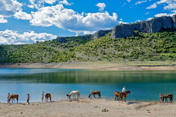 Découverte de la Croatie à cheval