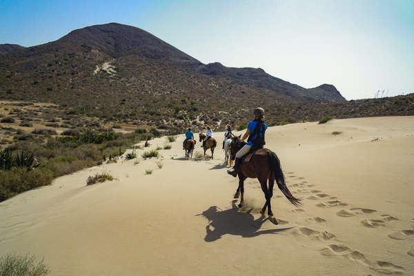 Découverte de l'Andalousie à cheval