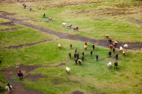 Découverte des paysages d'Islande à cheval