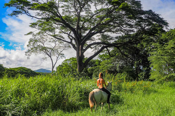 Découverte du Costa Rica à cheval