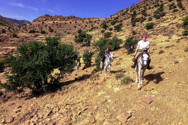 Découverte du Maroc à cheval