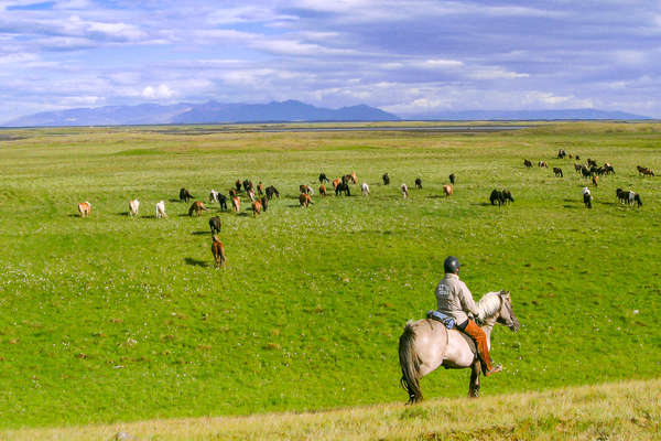 Découverte du paysage islandais à cheval