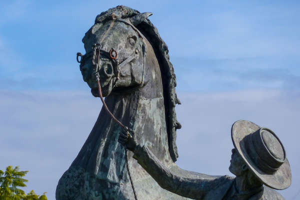 Découverte du Portugal à cheval